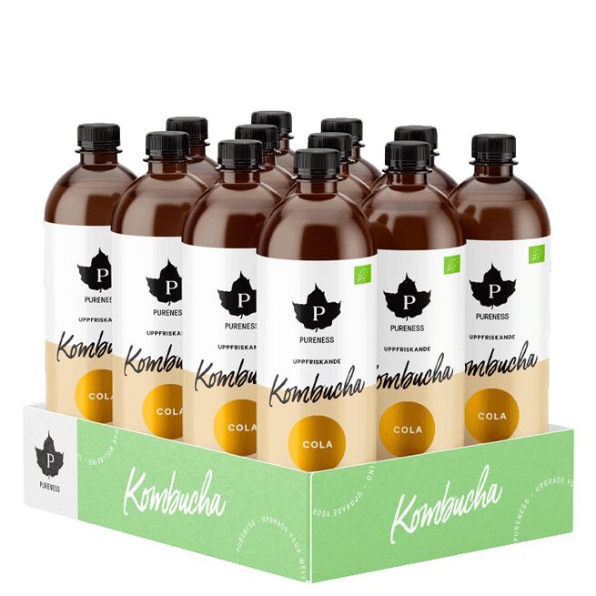 12 x Kombucha EKO, 370 ml Goji & Passion