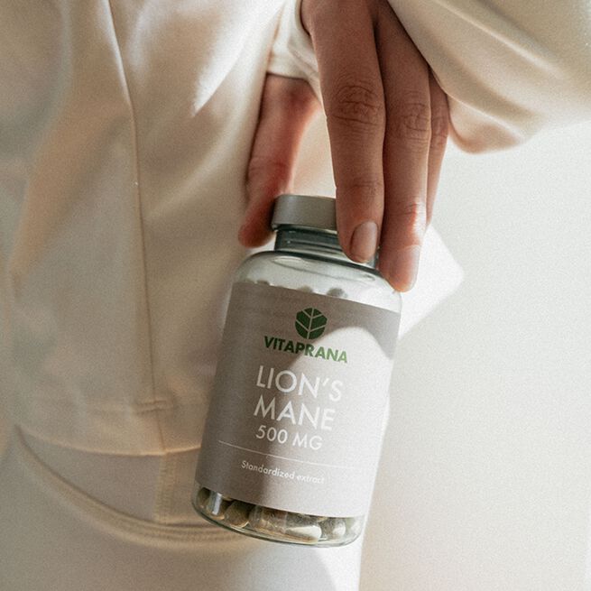 Lions Mane 500 mg 100 kapsler