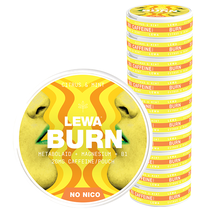 Functional NoNico Burn Nikotinfrie Porsjoner Citrus/Mynta 10 pakker BURN Citrus/Mint